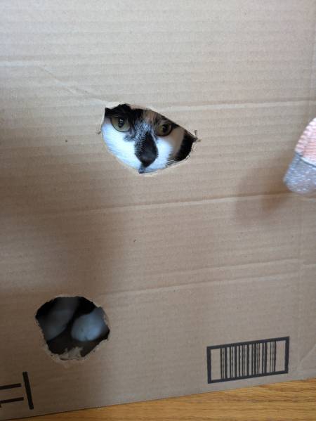 boxes.jpg boxes.jpg