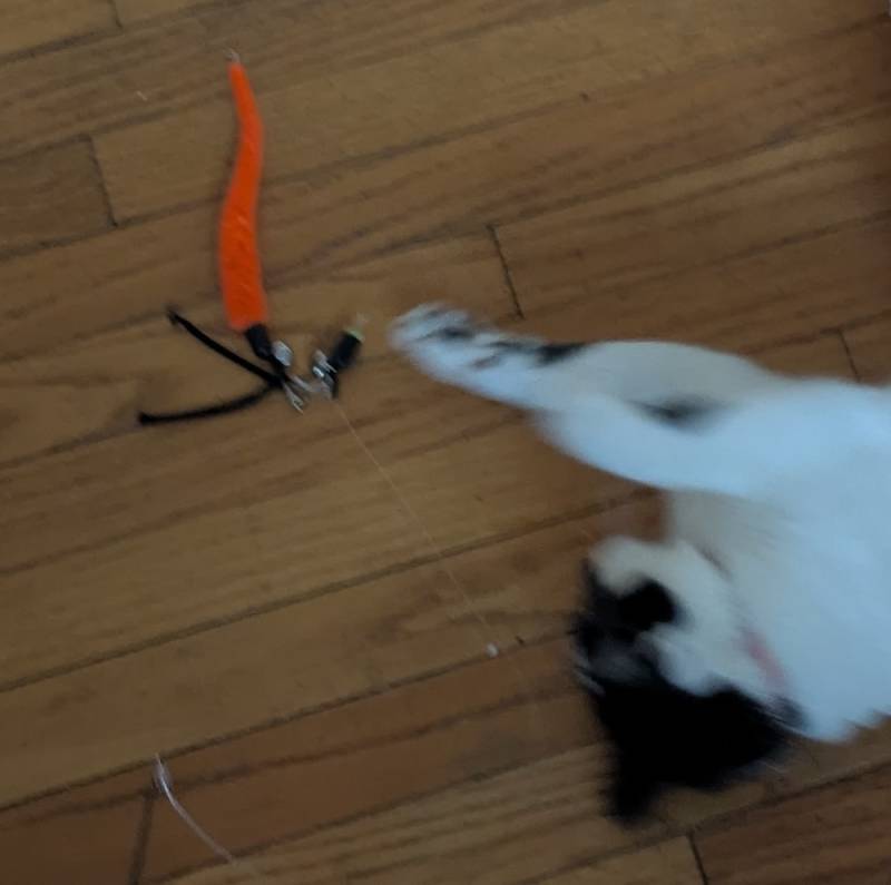worm2.jpg worm2.jpg