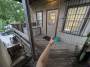 cat:3.checkinsideofdoor.jpg