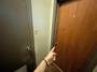cat:5.dooronright.jpg